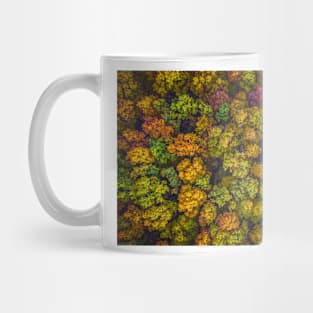 Aerial top down view view of vibrant color autumn forest Mug